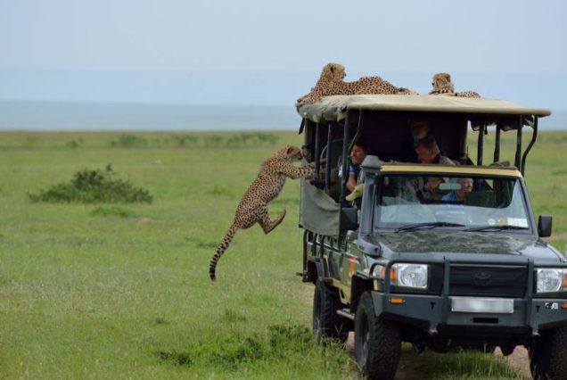 12 Days Scenic Kenya And Tanzania Budget Safari